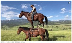 取我们熟悉的短视频Ap乎一模一样