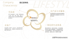 00个办事细节尺度